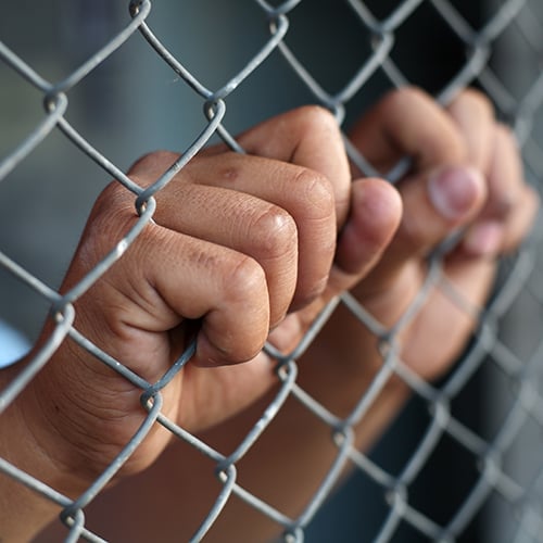 Child's hands clenched on fence.