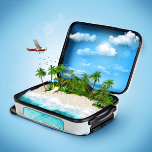 briefcase with a beach inside it