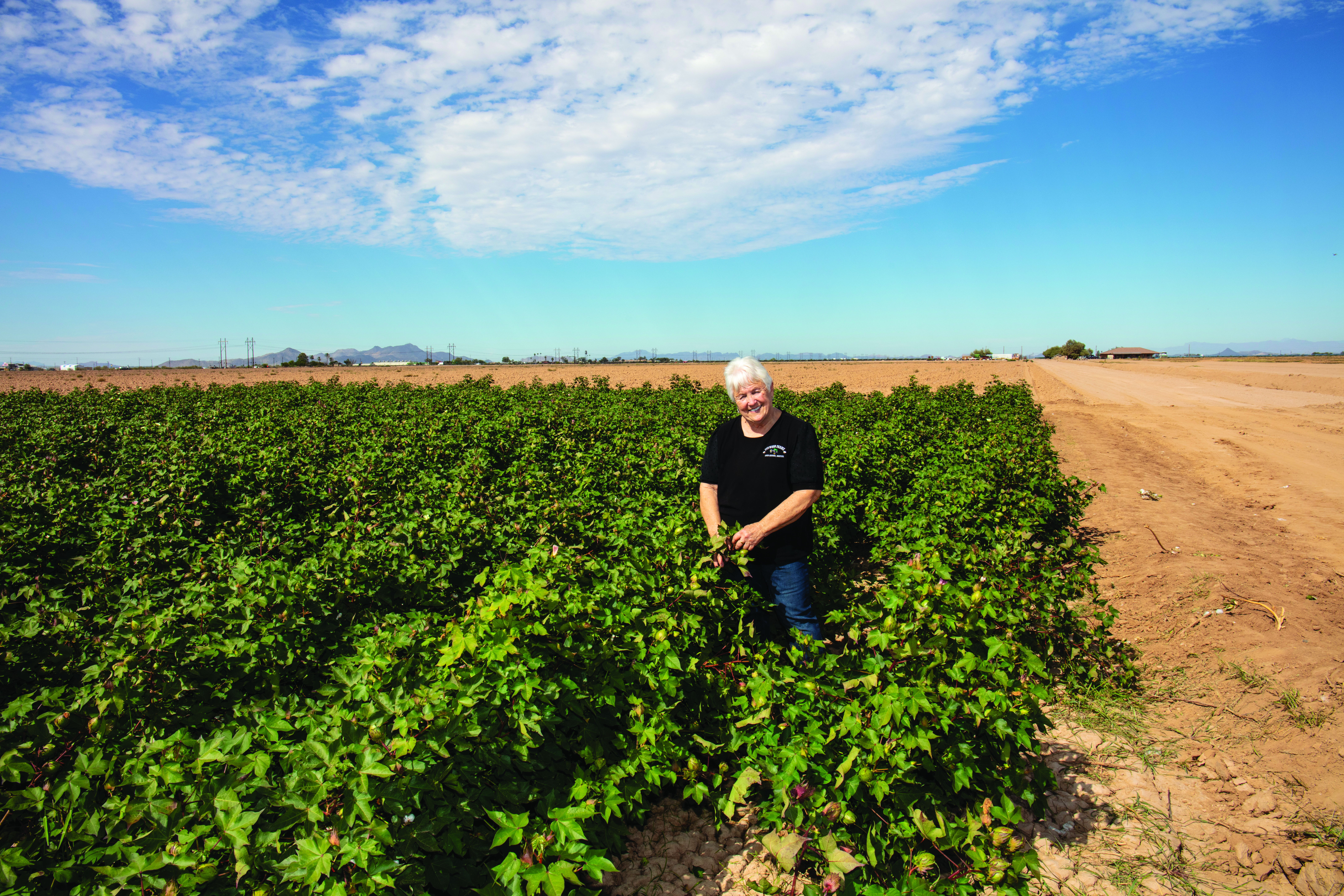 Image of Nancy Caywood on small area of crops at her farm.