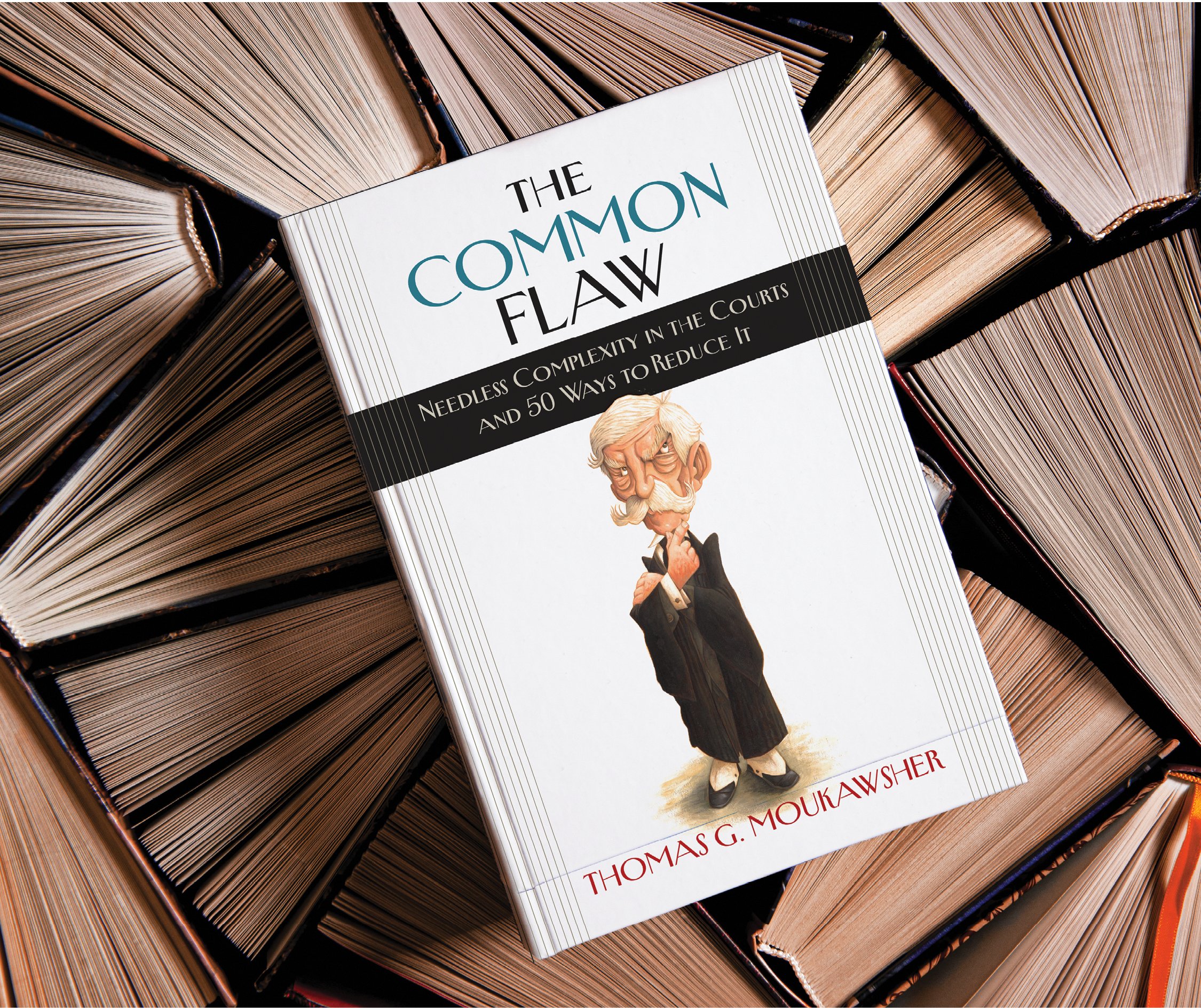 The Common Flaw book cover