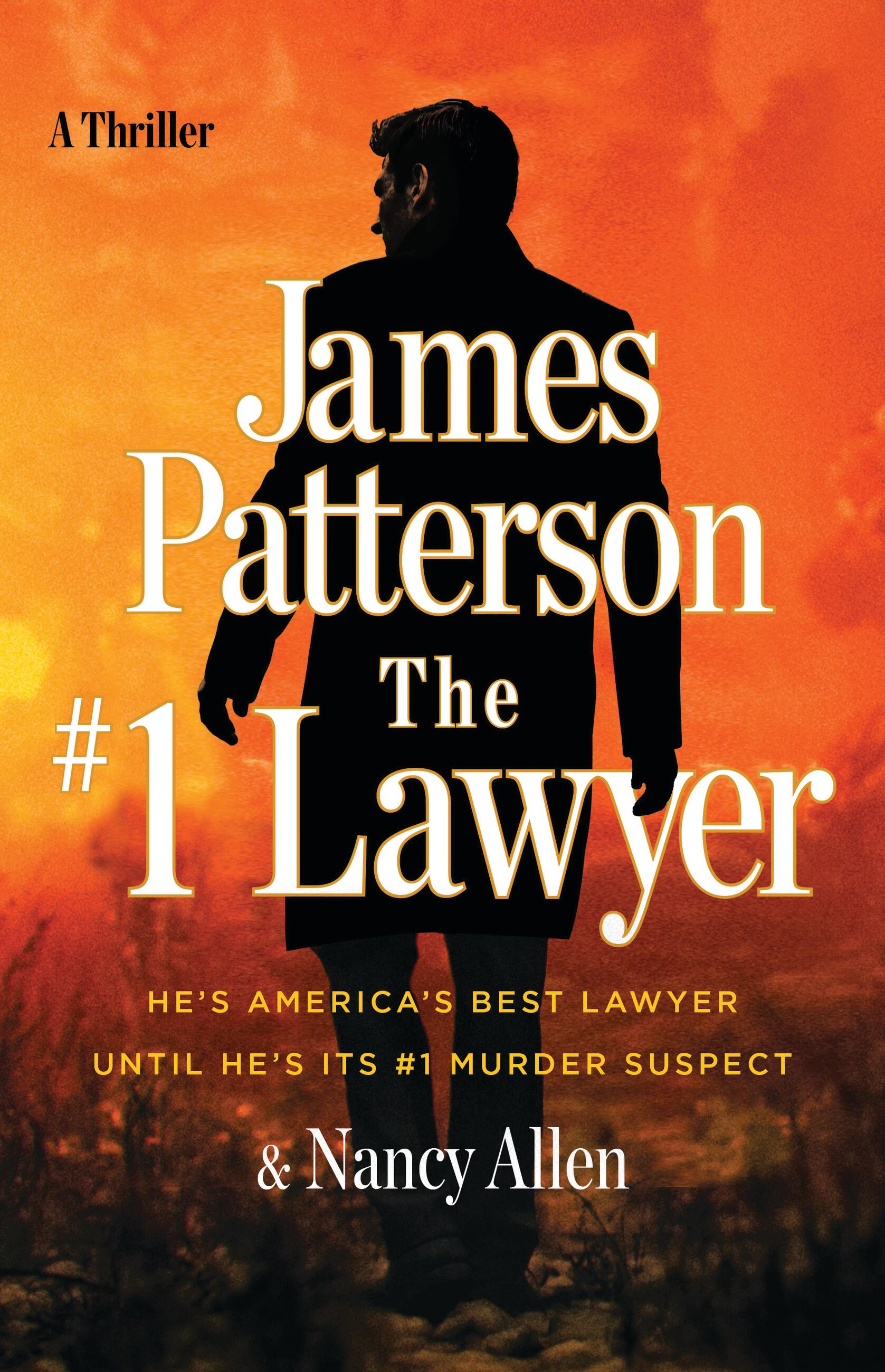 The Number One Lawyer book cover