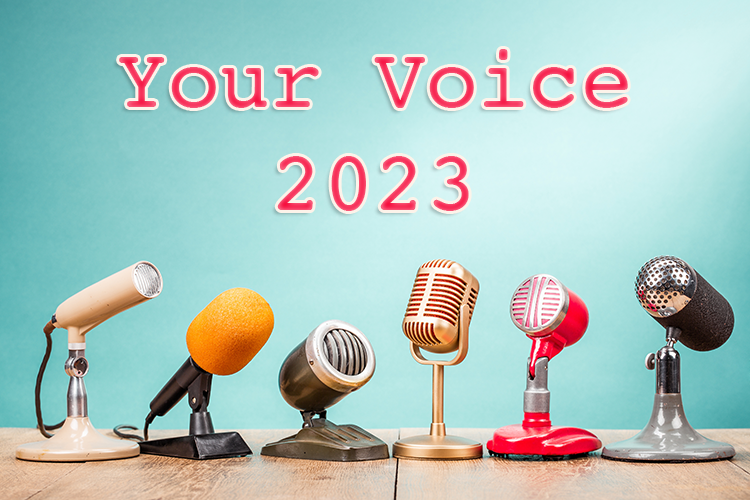 Your Voice 2023