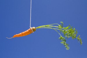 Photo_of_dangled_carrot