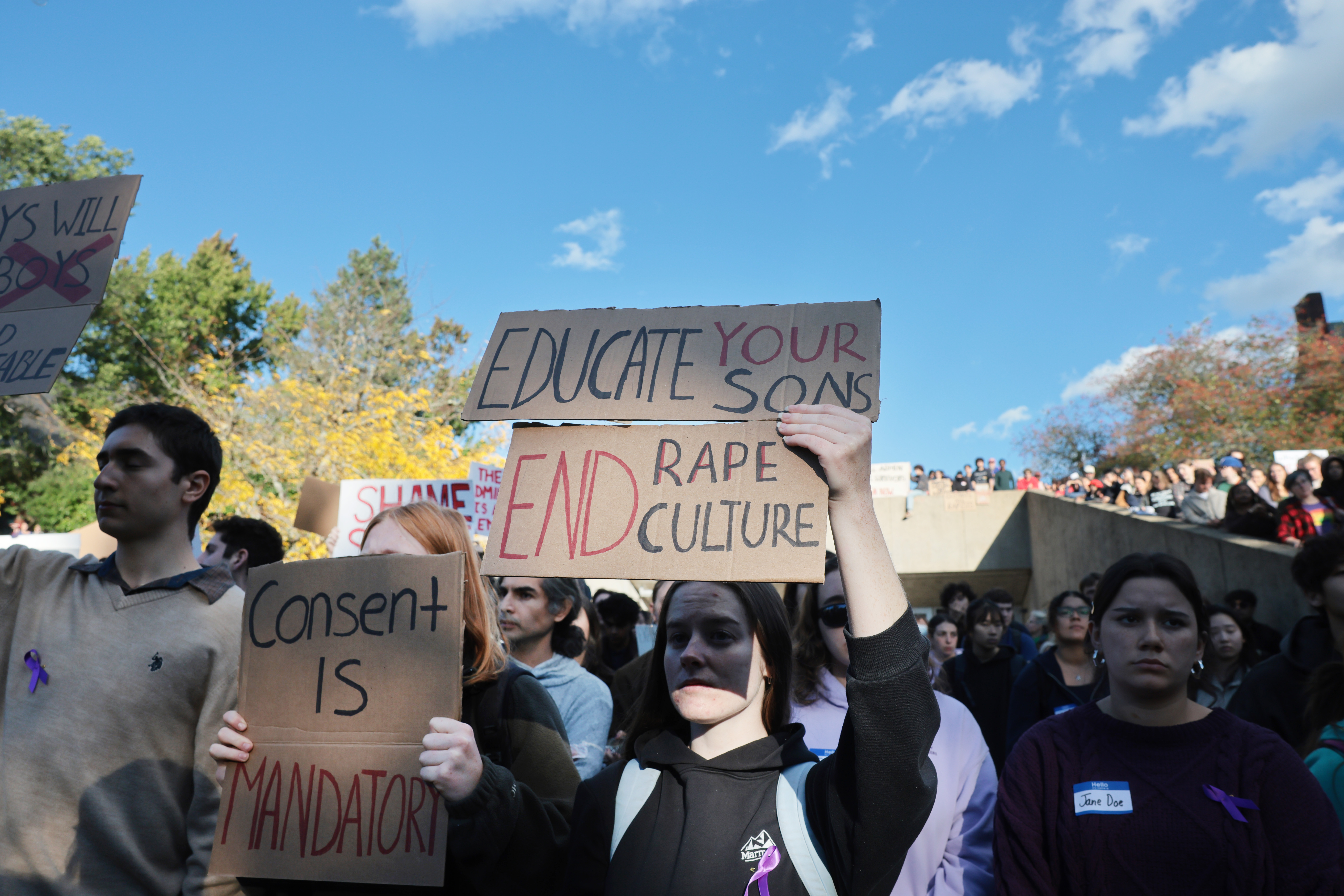 Brothers and Bystanders: If fraternities focus on character, why do ...