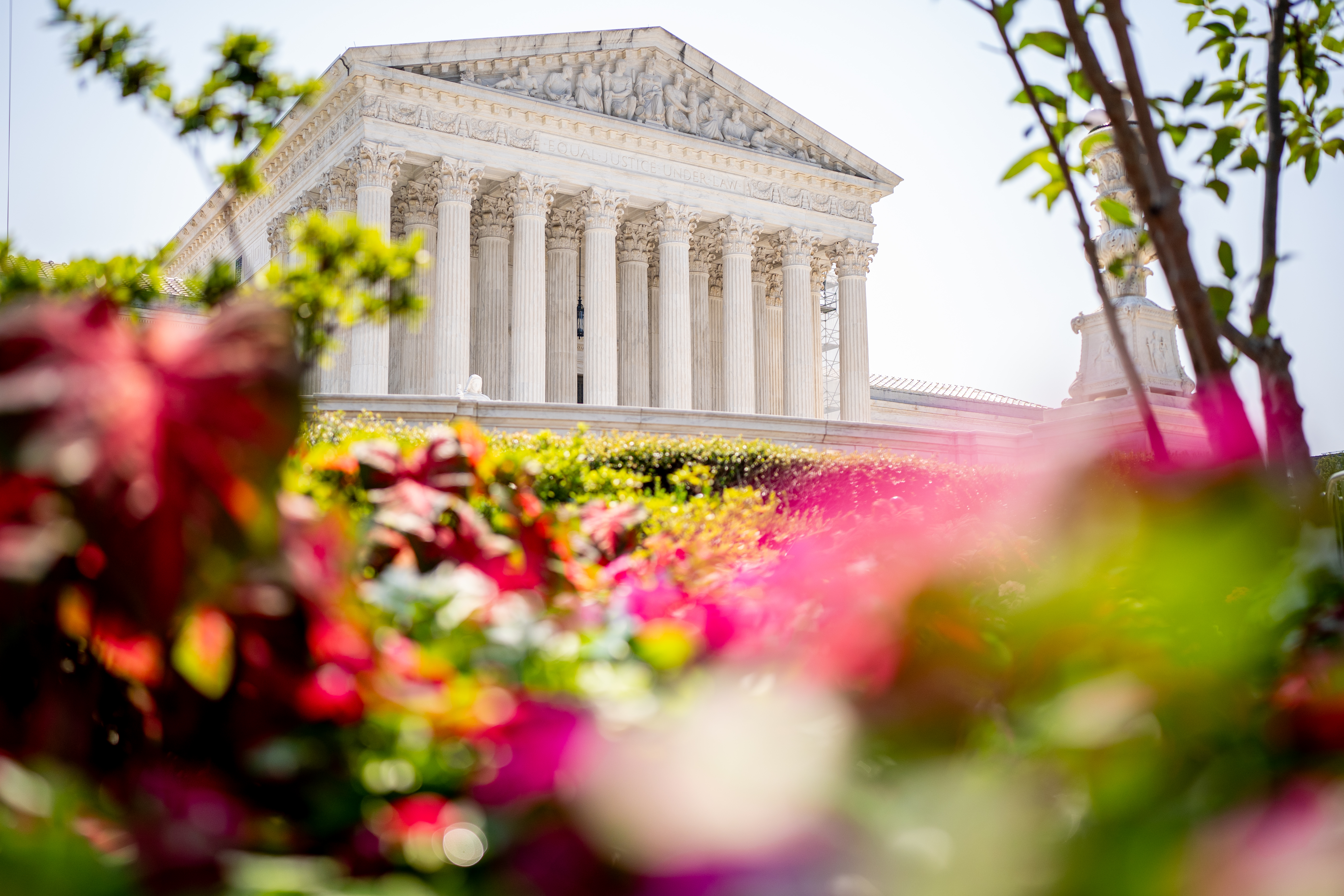 SupremeCourtBuildingFlowers.jpg