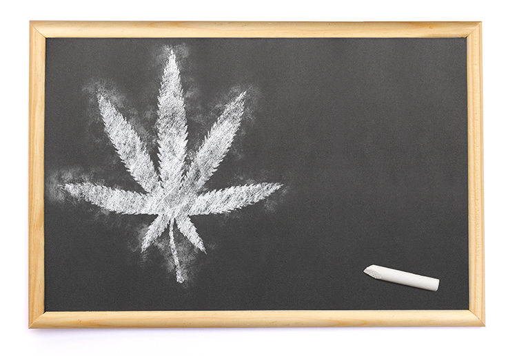 Cannabis leaf drawn on a blackboard