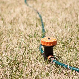 Sprinkler on dead lawn