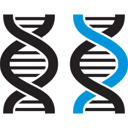 DNA strands