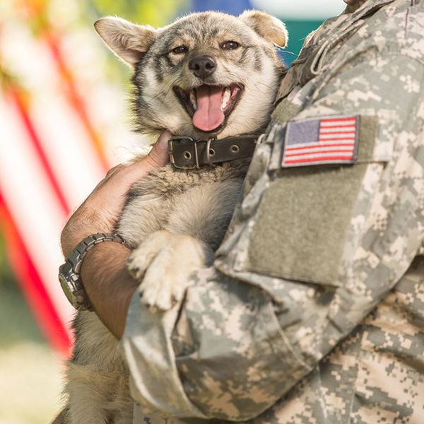 happy dog being held by soldier.