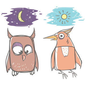 Night owl and early bird