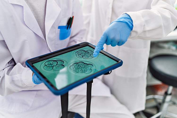 Scientists pointing to embryonic cells on an ipad