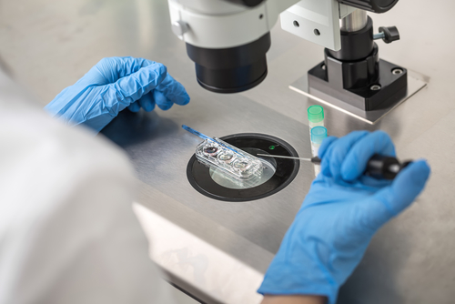 embryos in lab