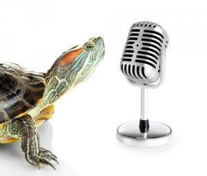 Image of turtle at microphone