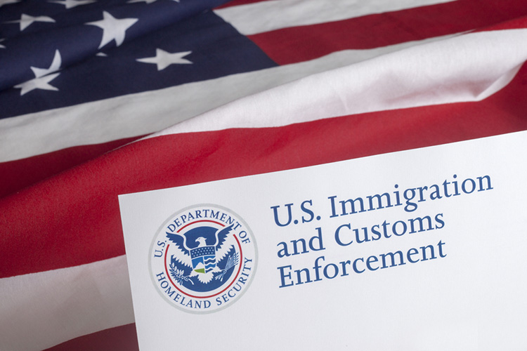 us immigration customs