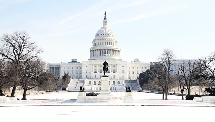 Capitol Building in winter